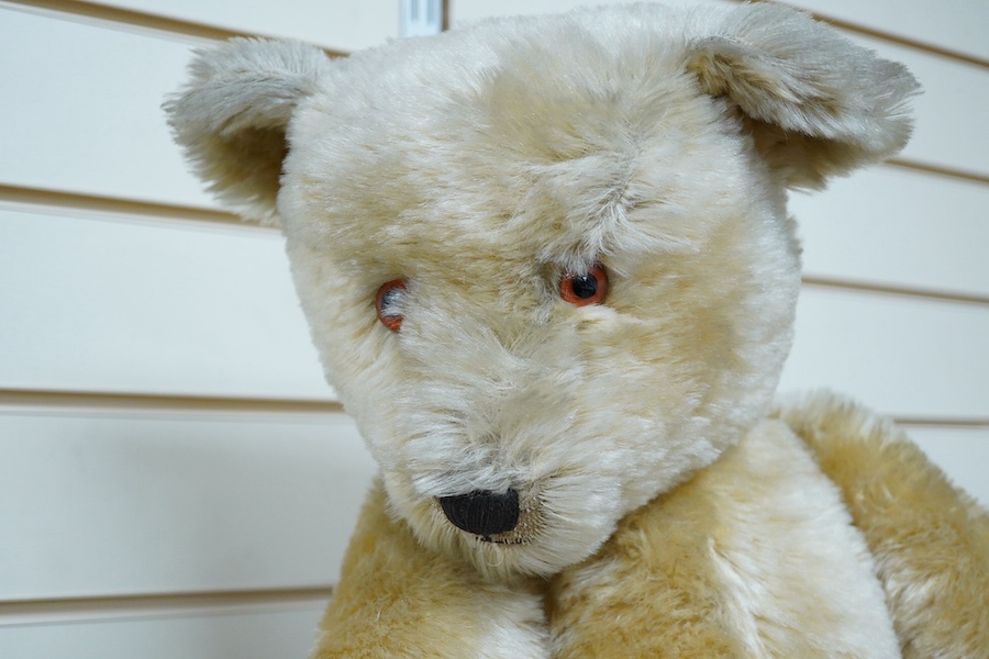 A gold plush mohair teddy bear, perhaps Chad Valley, circa 1950, approx 62cm tall. Condition - fair to good.